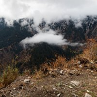 Такая осень :: Алексей Большаков