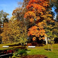 осень :: ИННА ПОРОХОВА