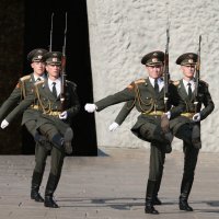 Смена  караула :: Сергей Рузаев 