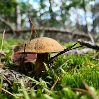 ...И поклониться такому не лень! :: Людмила Жданова