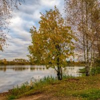 И снова Осень 7 :: Андрей Дворников И снова Осень 7 :: Андрей Дворников