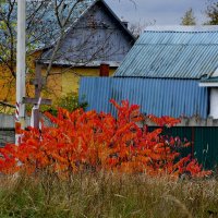 вчерашняя осень 2 :: Александр Прокудин