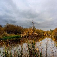 вчерашняя осень 4 :: Александр Прокудин