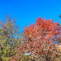 ,,, :: Сергей Тимоновский