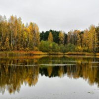 Осень в октябре. :: Милешкин Владимир Алексеевич 