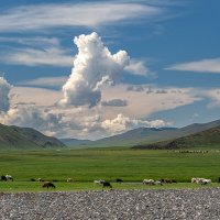 В долине Орхона :: Galina В долине Орхона :: Galina