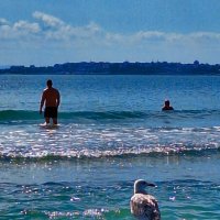 Солнечный Берег встретил 23 сентября хорошей погодой и вполне тёплой водой. :: Леонид Школьный