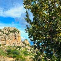 Греческие каникулы.. :: Aida10 