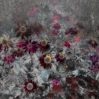 Из Иосифа Бродского :: Victor Vinocurov