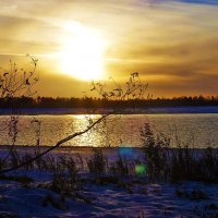 Закат на Юганской Оби! :: Владимир 
