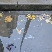 Городские осенние лужи :: Валерий Иванович