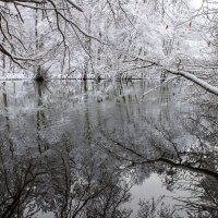 ----------------- :: igor G. ----------------- :: igor G.