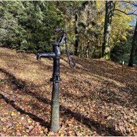 ******* :: Валерия Комова ******* :: Валерия Комова