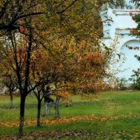 Во саду ли, в огороде.. :: Татьяна Помогалова