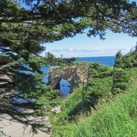 мыс Птичий :: ИРЭН@ .