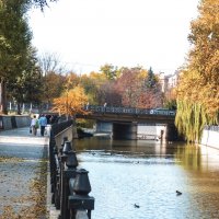 Осень  золотая :: Валентин Семчишин