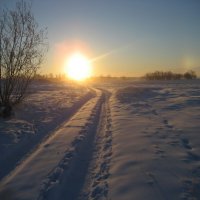 Зимнее солнцестояние :: Anna Ivanova