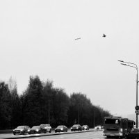 … :: Iren Brilliance