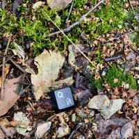 *** :: Альберт Ханбиков *** :: Альберт Ханбиков