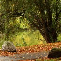 Октябрь :: Юрий. Шмаков