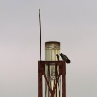 - Свет мой, зеркальце, скажи... :: Елена Минина