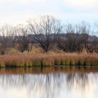 Отражение :: Сергей Никифоров