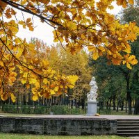 Про Питер :: Владимир Колесников