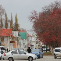 Осень :: Венера Чуйкова