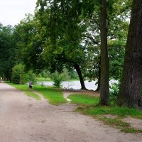 Кузьминский парк :: Игорь Белоногов