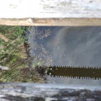 Сквозь настил моста... :: Игорь Ч.