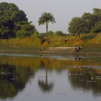 На озере лотосов :: liudmila drake На озере лотосов :: liudmila drake