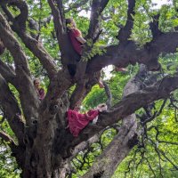 Душой прирастая :: liudmila drake Душой прирастая :: liudmila drake