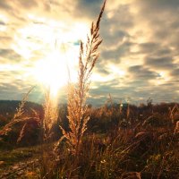 солнышко выползло на пару секунд.. :: Артём 