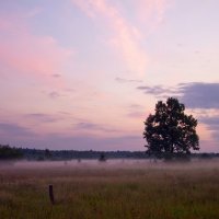 Рассвет. Борхов. :: Сергей Рожков