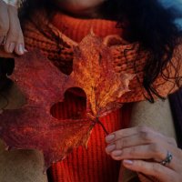 Осенние мотивы :: Author 