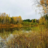 Осенний пейзаж. :: Милешкин Владимир Алексеевич 