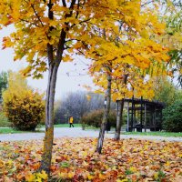 Конец октября. :: Василий Палий