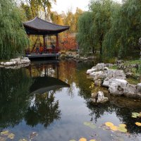 *_* :: Виктор Берёзкин