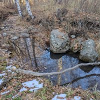 Речка Каркаралинка :: Андрей Хлопонин Речка Каркаралинка :: Андрей Хлопонин