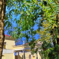 Прогулка по городу :: Tata Wolf