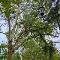 ПРИМОРСКИЙ СКВЕР :: Tata Wolf