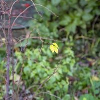 Последние :: Валерий Иванович