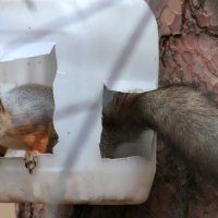 Проверка :: Любовь Сахарова