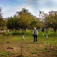 Осень :: Анатолий Чикчирный Осень :: Анатолий Чикчирный