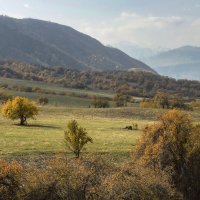 Высоко в горах :: LudMila 