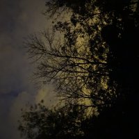 Ранеее утро :: М С