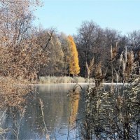 Первый лед :: ZNatasha - Первый лед :: ZNatasha -