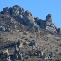 Природа Крыма :: Amazing Cosmea