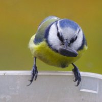 Хоть это досталось ! :: Юрий Куликов Хоть это досталось ! :: Юрий Куликов