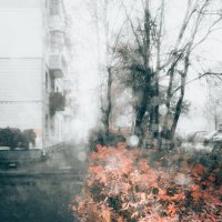 Туманное утро октября :: Sergei Vikulov Туманное утро октября :: Sergei Vikulov